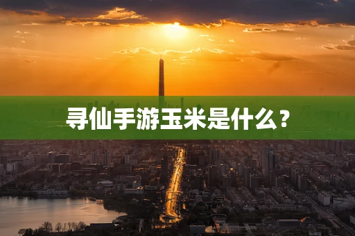 寻仙手游玉米是什么？