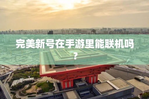 完美新号在手游里能联机吗？