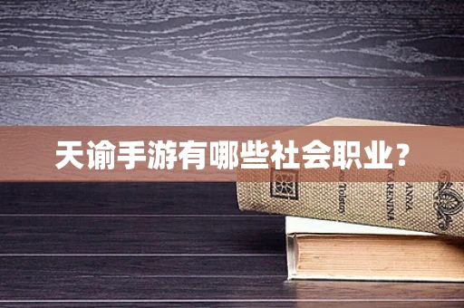 天谕手游有哪些社会职业？
