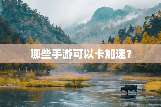哪些手游可以卡加速？