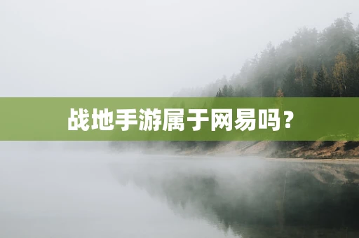 战地手游属于网易吗？
