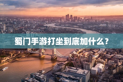 蜀门手游打坐到底加什么？