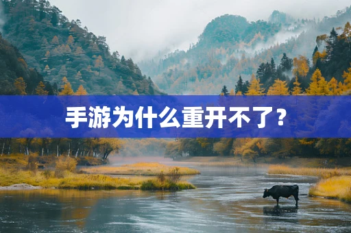 手游为什么重开不了？