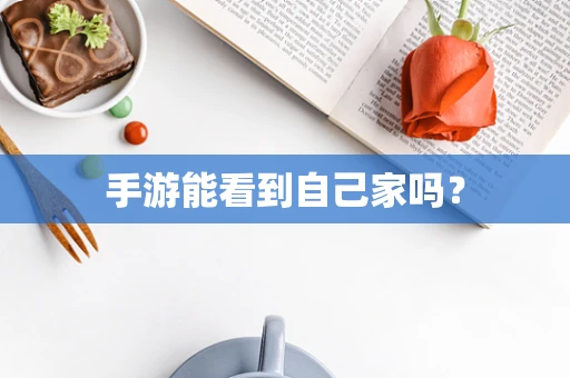 手游能看到自己家吗？