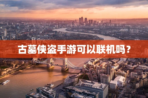古墓侠盗手游可以联机吗？