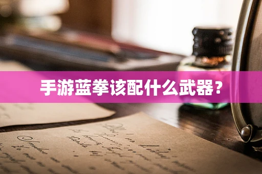 手游蓝拳该配什么武器？