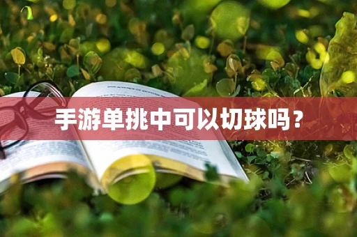 手游单挑中可以切球吗？
