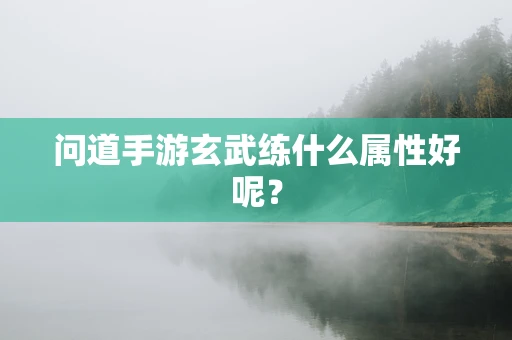 问道手游玄武练什么属性好呢？