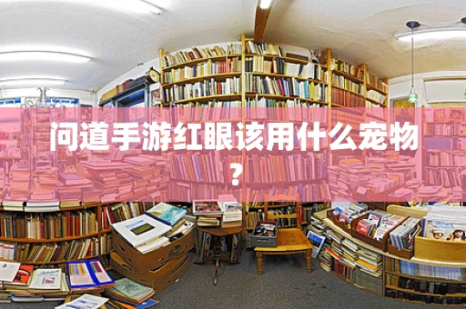 问道手游红眼该用什么宠物？