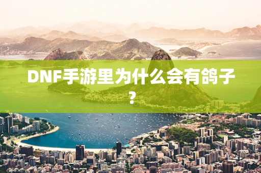 DNF手游里为什么会有鸽子？