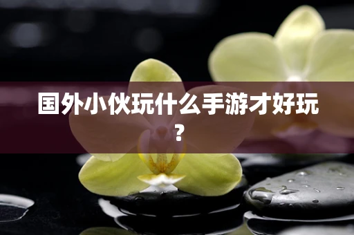 国外小伙玩什么手游才好玩？