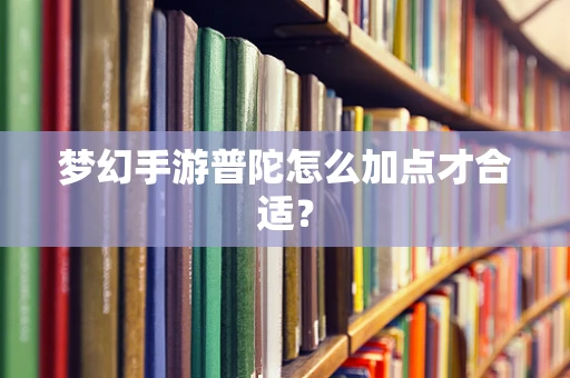 梦幻手游普陀怎么加点才合适？