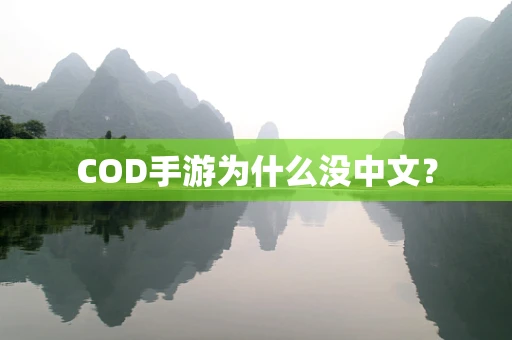 COD手游为什么没中文？