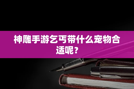 神雕手游乞丐带什么宠物合适呢？