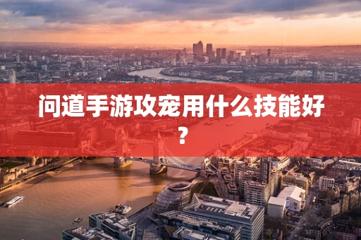 问道手游攻宠用什么技能好？