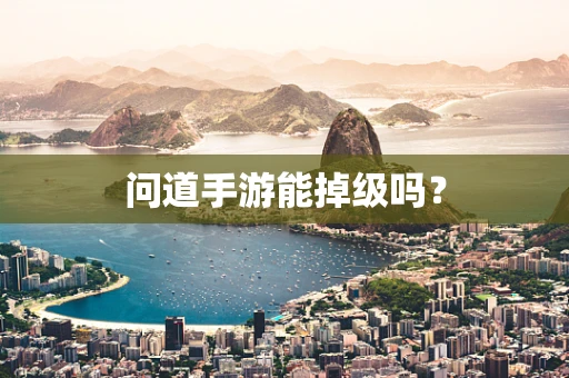 问道手游能掉级吗？