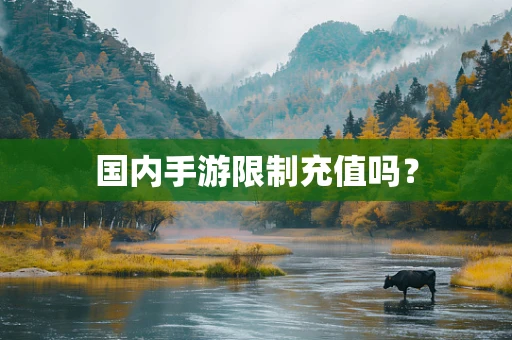 国内手游限制充值吗？