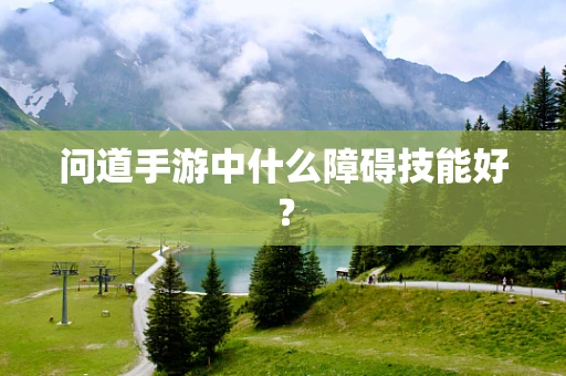 问道手游中什么障碍技能好？