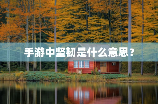 手游中坚韧是什么意思？