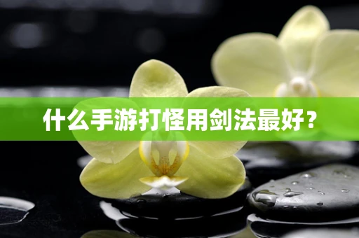 什么手游打怪用剑法最好？