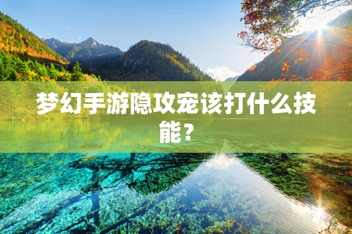 梦幻手游隐攻宠该打什么技能？