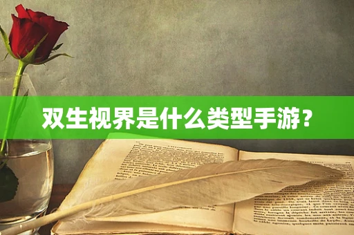 双生视界是什么类型手游？