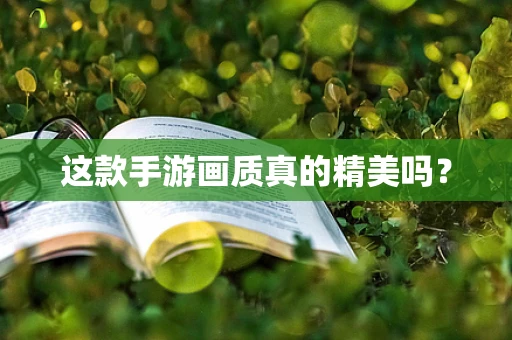 这款手游画质真的精美吗？