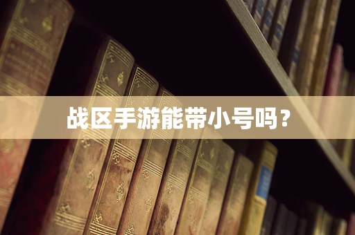 战区手游能带小号吗？