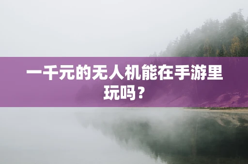 一千元的无人机能在手游里玩吗？