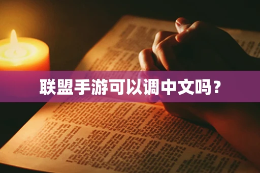 联盟手游可以调中文吗？