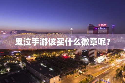 鬼泣手游该买什么徽章呢？