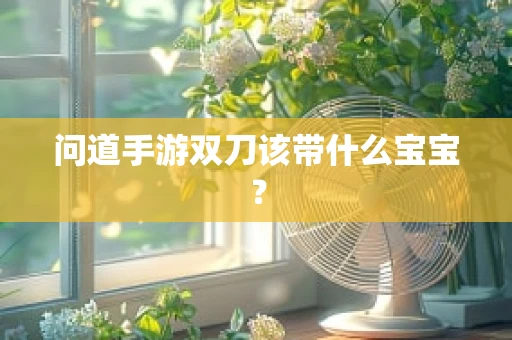 问道手游双刀该带什么宝宝？