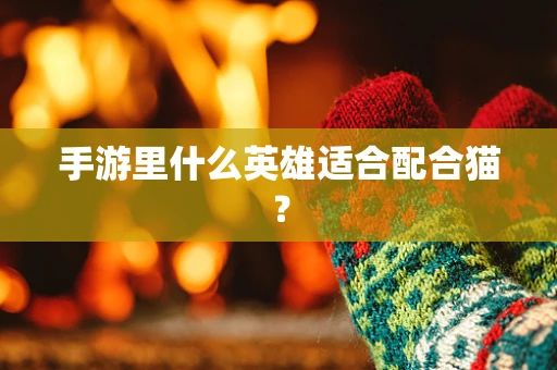 手游里什么英雄适合配合猫？