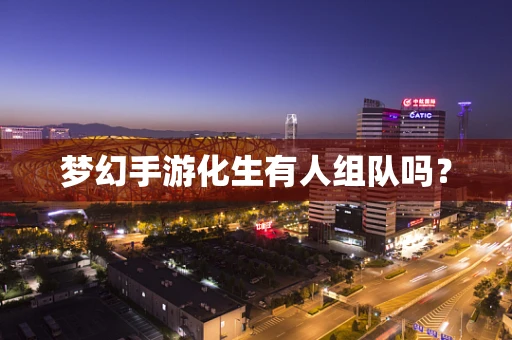 梦幻手游化生有人组队吗？