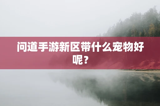 问道手游新区带什么宠物好呢？