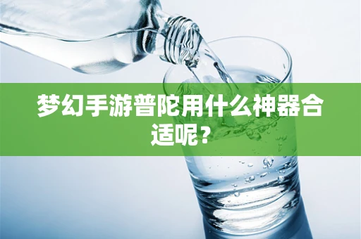 梦幻手游普陀用什么神器合适呢？