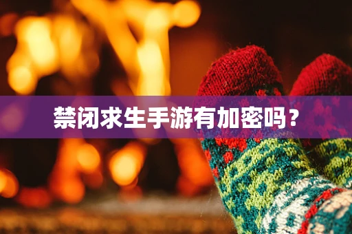禁闭求生手游有加密吗？