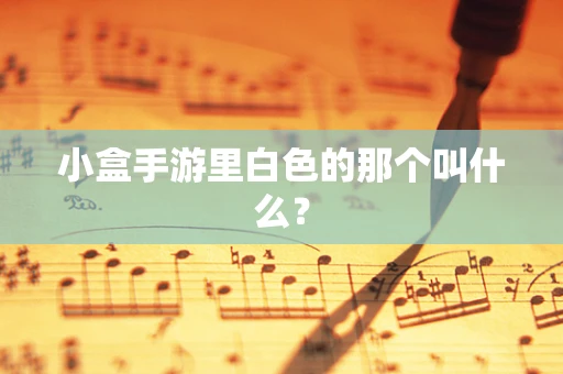 小盒手游里白色的那个叫什么？