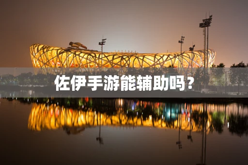 佐伊手游能辅助吗？