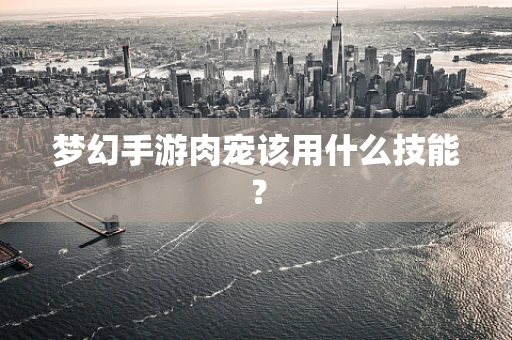 梦幻手游肉宠该用什么技能？