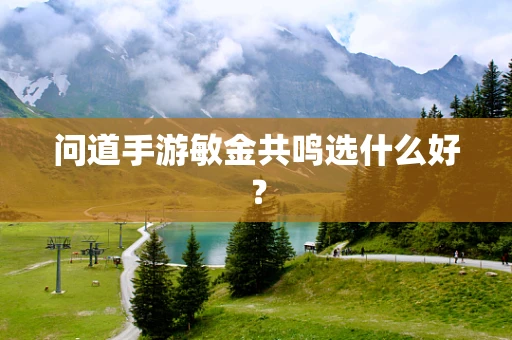 问道手游敏金共鸣选什么好？