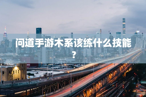 问道手游木系该练什么技能？