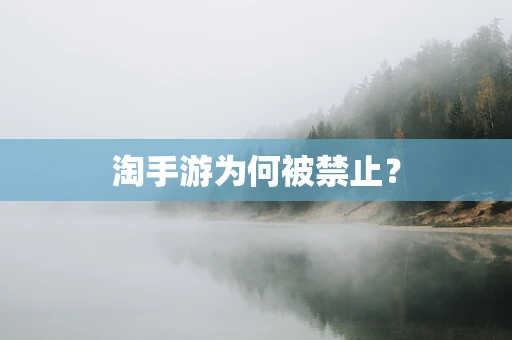 淘手游为何被禁止？