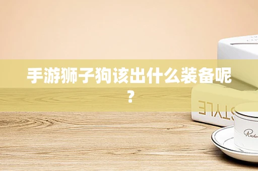 手游狮子狗该出什么装备呢？