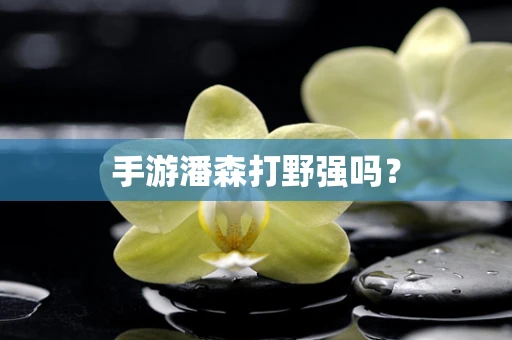 手游潘森打野强吗？