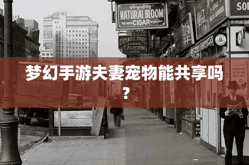 梦幻手游夫妻宠物能共享吗？