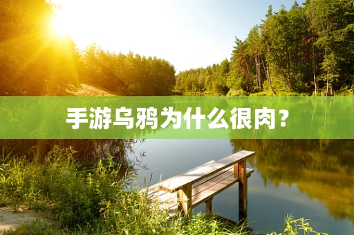 手游乌鸦为什么很肉？