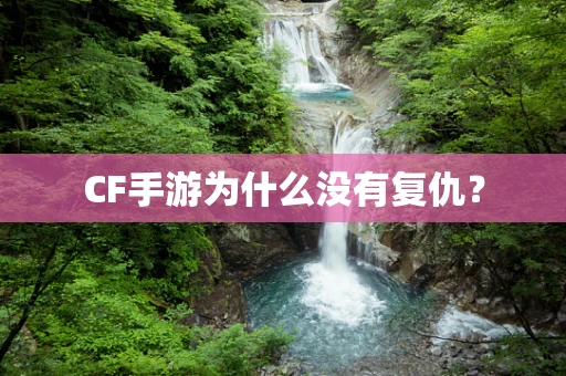 CF手游为什么没有复仇？