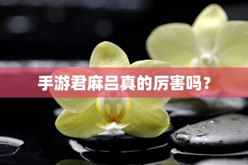 手游君麻吕真的厉害吗？