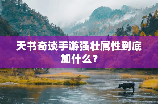 天书奇谈手游强壮属性到底加什么？